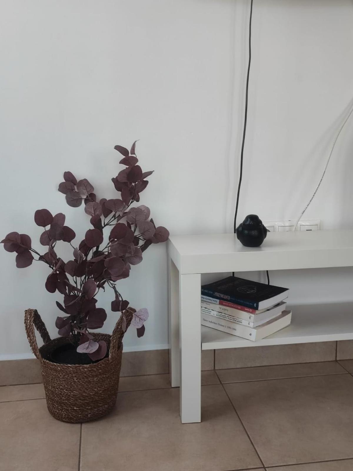 Myrtia Appartement Sými Buitenkant foto